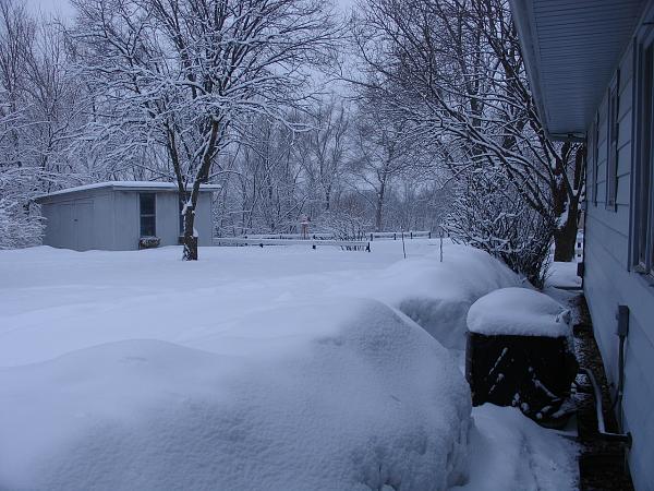how much snow did you get-2010-winter-170.jpg
