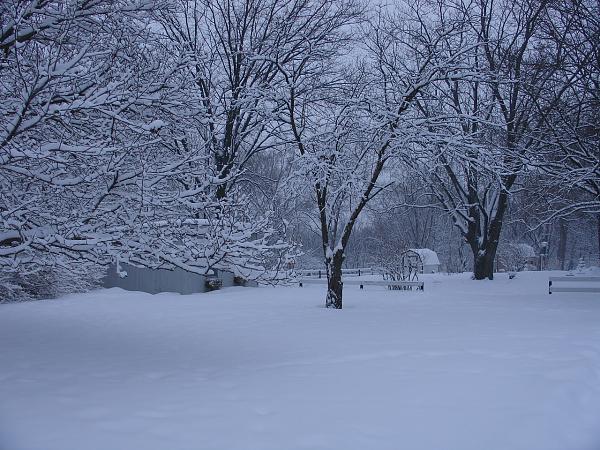 how much snow did you get-2010-winter-173.jpg