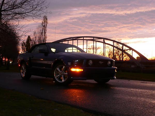 New Evening Shots-p1080690small.jpg