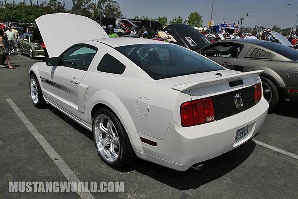 I'd like to see other White CSs-mustang_world_knotts_2010_6112_jpg.jpg