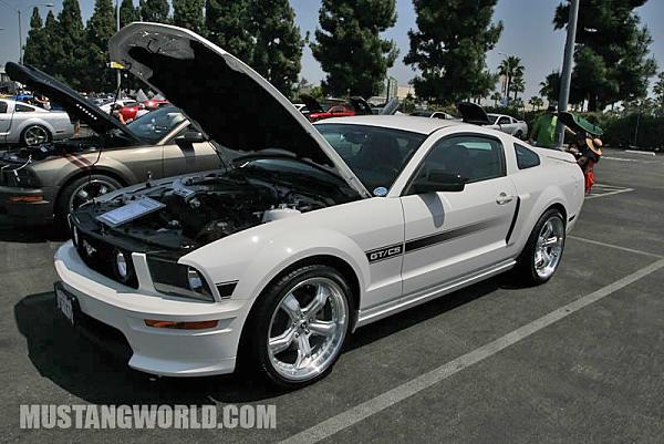 I'd like to see other White CSs-mustang_world_knotts_2010_6113_jpg.jpg