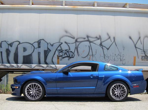 NEW RIMS ???? watcha guys think-picture-2.jpg