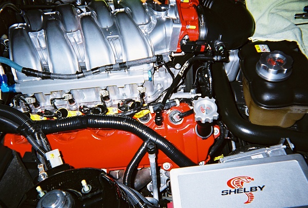 Shelby 4.6 liter Fuel Rails-065519-r1-09-8a.jpg