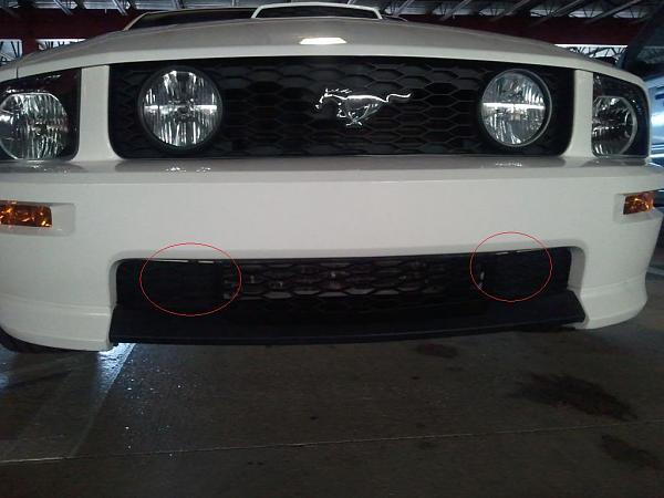 A couple of new additions-2011-06-11151107.jpg
