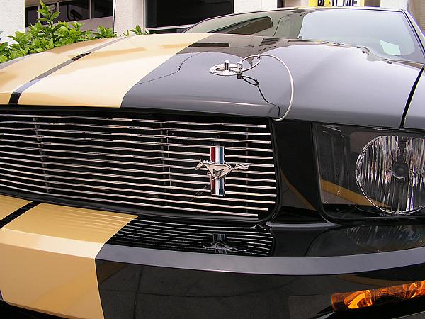 What kind of grille is on the GT-H?-pict1143.jpeg