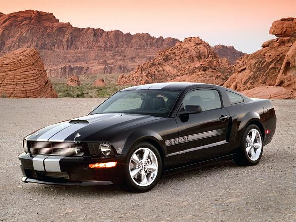 ATTN: Amy B. For those who think the Shelby GT is a warmed over GT/CS...-33346.jpg