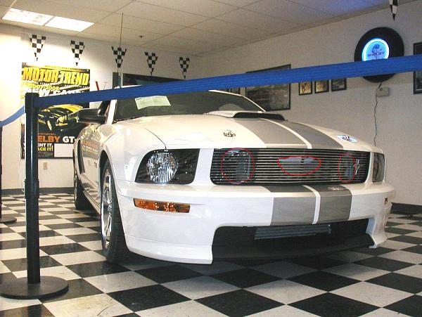 Lined up and ready...-shelbygt.jpg