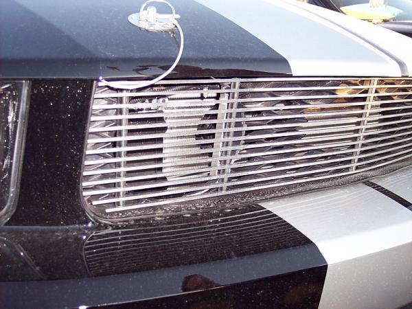 where to get Shelby GT hood scoop?-shelby_grill.jpg