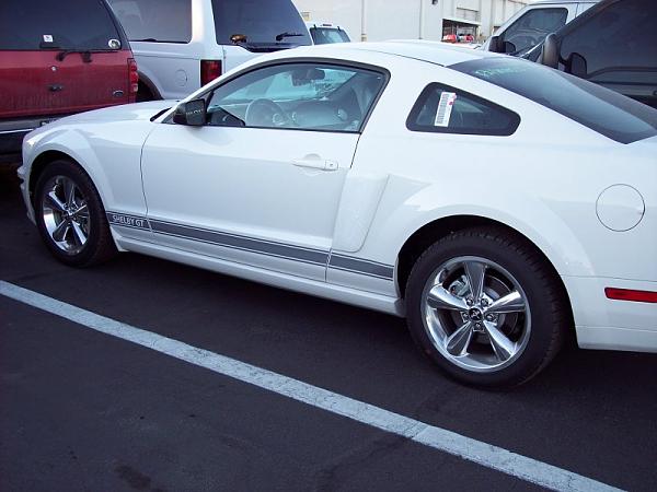 where to get Shelby GT hood scoop?-white_shelby.jpg
