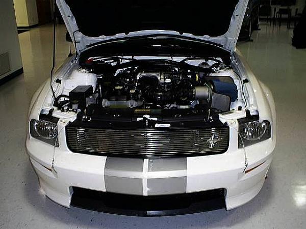 Here's pics of White Shelby GT 5Speed man. (N.O. 104) that came today 2/17/07-s5030075.jpg