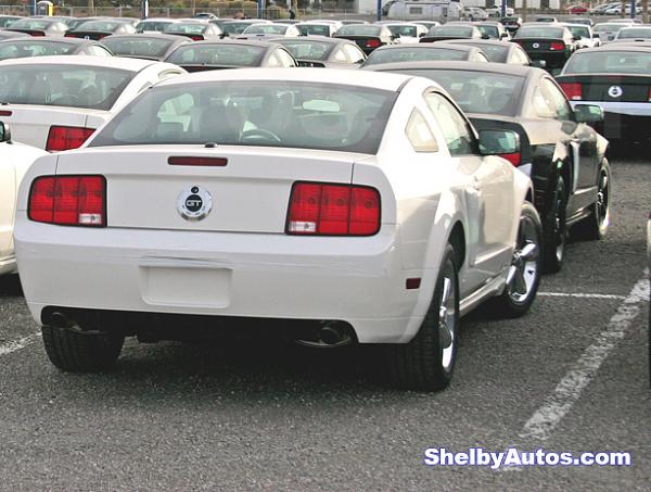 Cost benefit analysis of a Shelby GT-gt224-1024.jpg