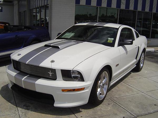 saw my first Shelby GT-picture-304a.jpg