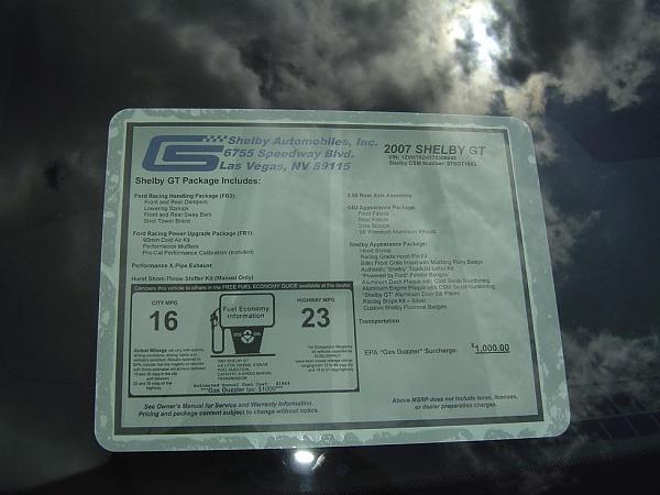 saw my first Shelby GT-picture-3121.jpg
