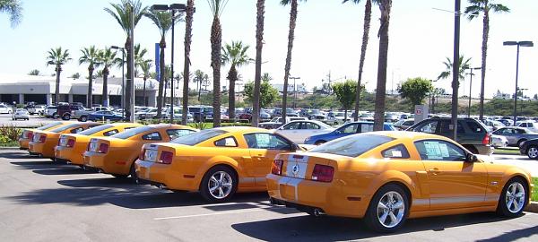 Grabber Orange Shelby GT - Northern Cal-shelbygtc.jpg