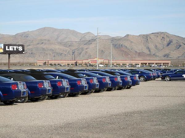 2008 Barrett-Jackson Shelby GT unveiled-dscn1557.jpg