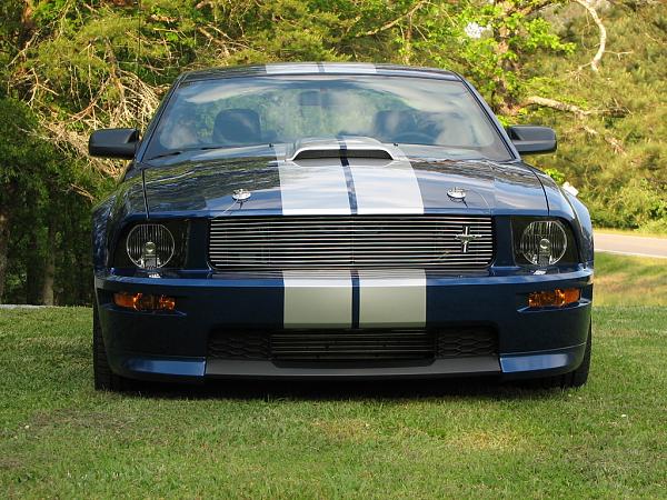 Need photoshop help on Shelby GT front bumper please.-img_4416.jpg