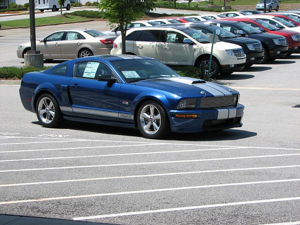 Another Shelby Owner-img_4355.jpg