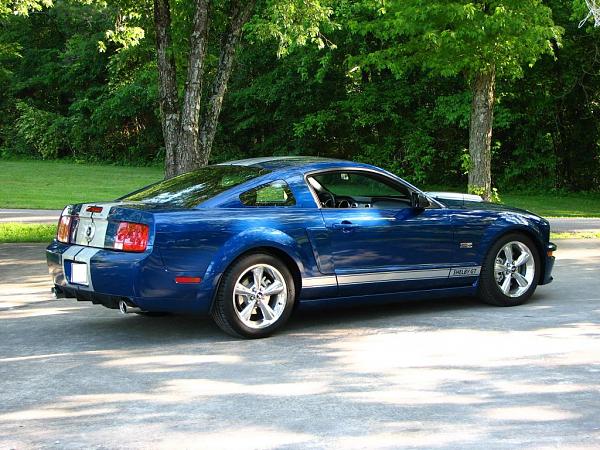 Another Shelby Owner-img_4466-1.jpg