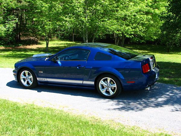 Another Shelby Owner-img_4392.jpg