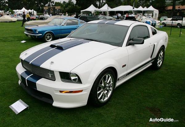 07-08 shelby gt- color help-img_2796.jpg