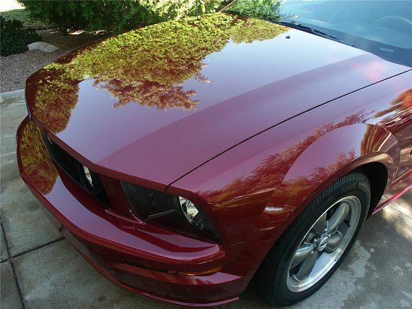 2008 Mustang Sally-23.b.jpg