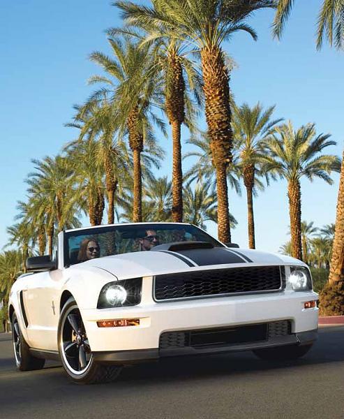 Bullitt Option now in Ford Order Banks (July 11th 2007)-grill2.jpg