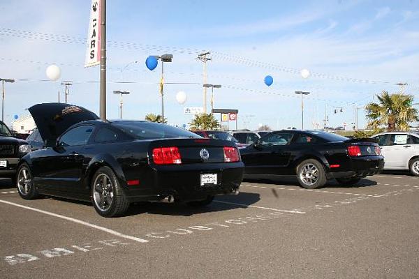 -img_5452.jpg