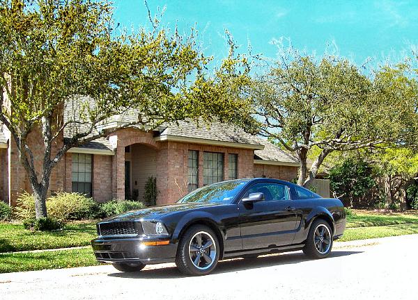 How many 08 Bullitt's out there?!?-2329002475_df074eea5d_o.jpg