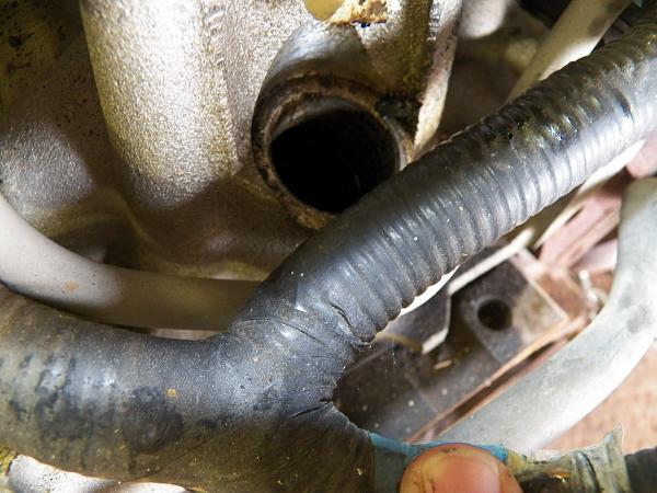 1994 GT Project-94gteng2.jpg