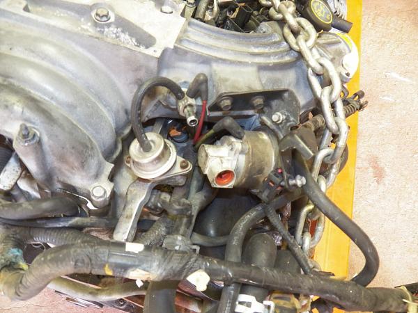 1994 GT Project-94gteng4.jpg