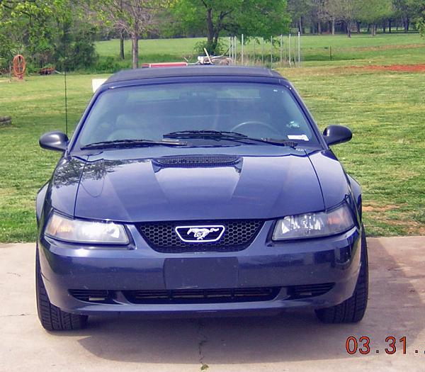 post pics of your ride!-dscn1094a.jpg