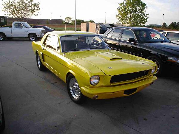 DQ Tomorrow-dsc05484a.jpg