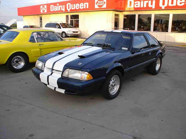 DQ Tomorrow-dsc05483a.jpg