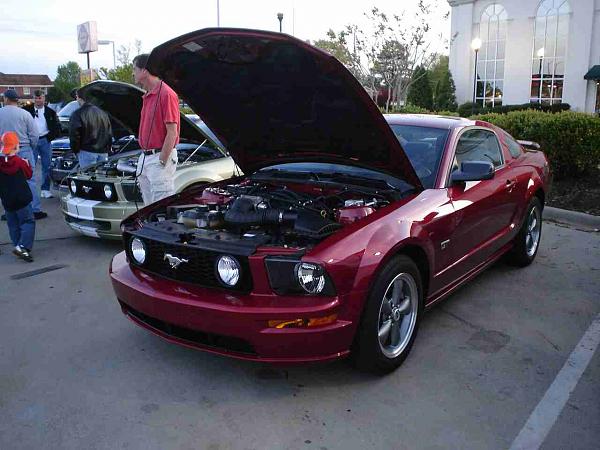 DQ Tomorrow-dsc05497a.jpg