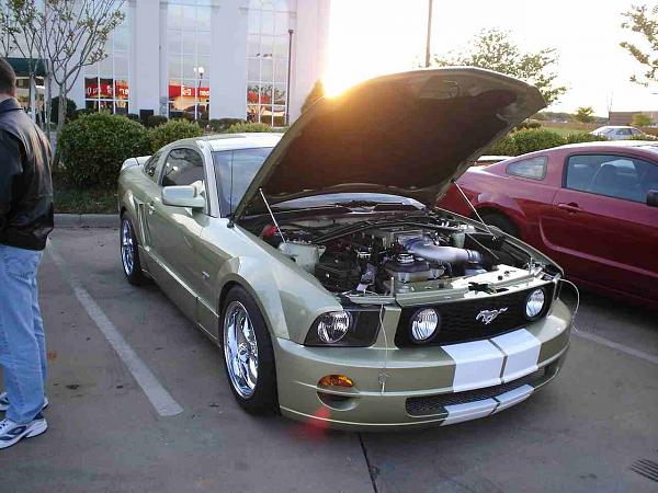 DQ Tomorrow-dsc05494a.jpg