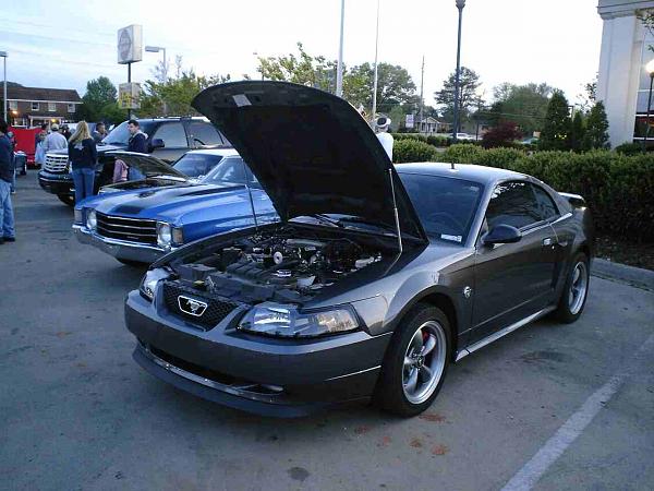 DQ Tomorrow-dsc05505a.jpg