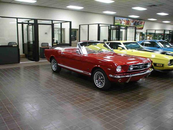 Pics from Woody.-dsc06023-2-.jpg