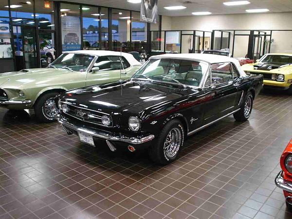 Pics from Woody.-dsc06028-2-.jpg