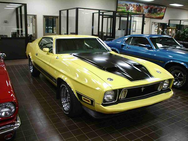 Pics from Woody.-dsc06032-2-.jpg