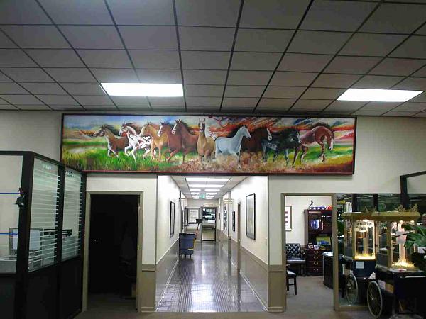 Pics from Woody.-dsc06053-2-.jpg