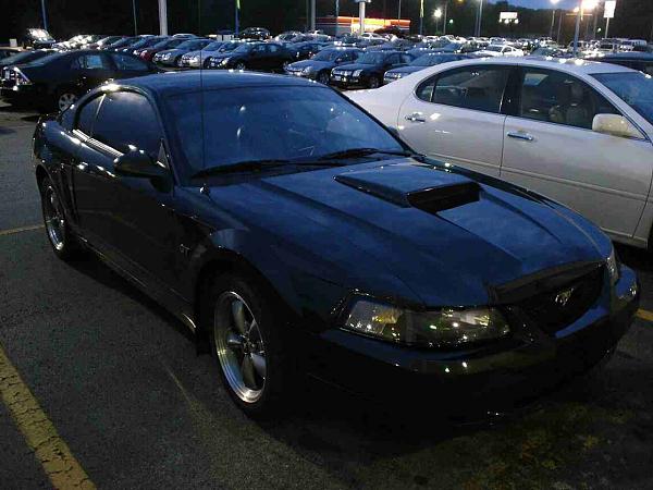 Pics from Woody.-dsc06049-2-.jpg