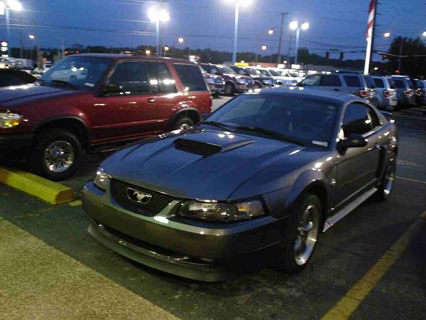 Pics from Woody.-dsc06050-2-.jpg