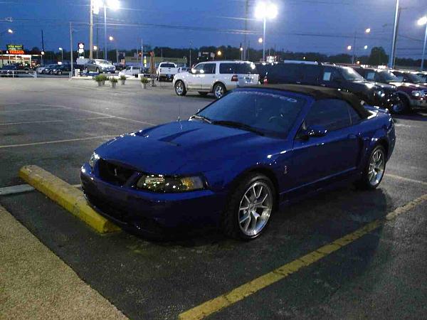 Pics from Woody.-dsc06052-2-.jpg