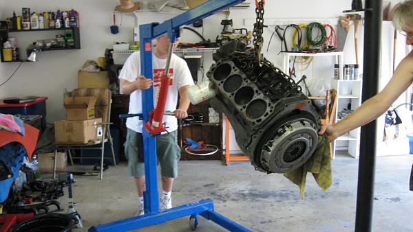 Let's get greasy!-engine-098.jpg