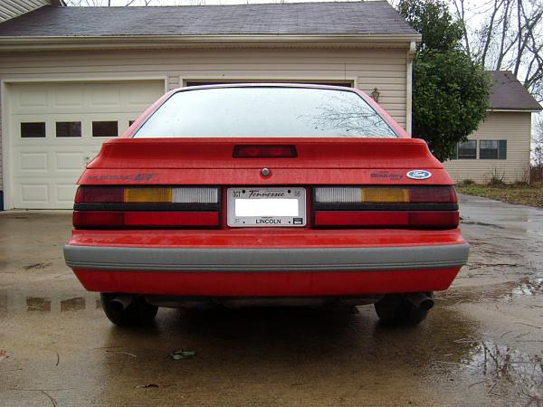 New guy!!!-ext-8.jpg