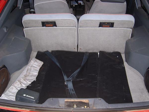 New guy!!!-int-4.jpg