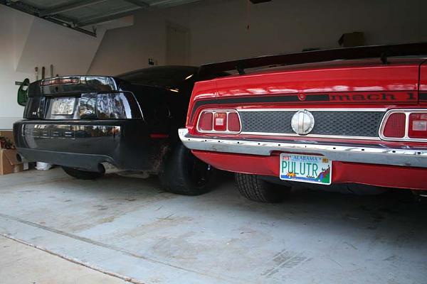 another new guy-tag_601.jpg