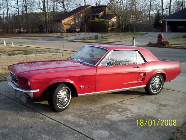 New Look-000_0338.jpg