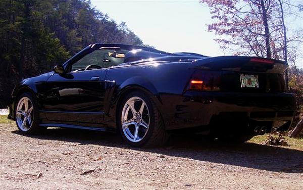 First BIG 2008 show - reminder-p2010001.jpg