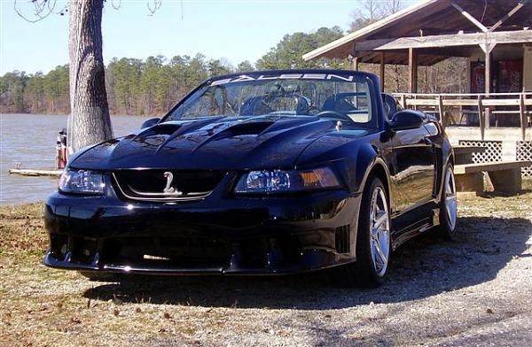 First BIG 2008 show - reminder-p2010016.jpg